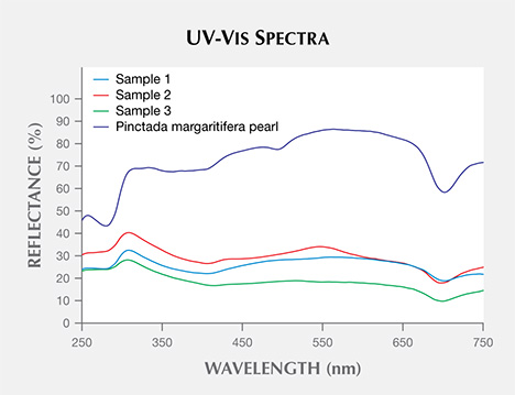 UV-visible reflectance spectra of shell samples.. Figure 3. UV-visible reflectance spectra of the darker gray nacre areas of all three P. mazatlanica shell samples shown in figure 2 are similar to the spectrum from a P. margaritifera pearl. All show a uroporphyrin feature at 405 nm and a feature at 700 nm, which is diagnostic of P. margaritifera. These spectra prove the similar spectral characteristics between P. mazatlanica and P. margaritifera.