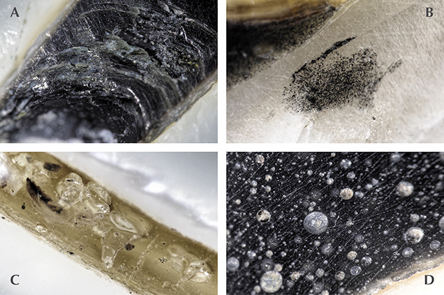 Blister Photomicrographs.