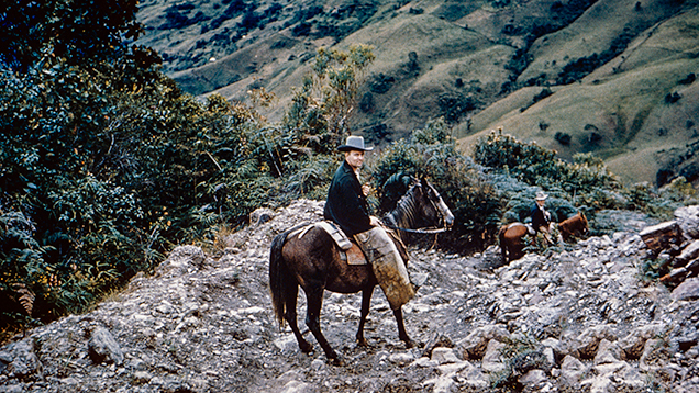 Willis F. Bronkie on his way to Chivor, ca. 1950 Willis F. Bronkie on his way to Chivor, ca. 1950