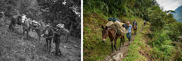 Transportation to Chivor by horse and mule Transportation to Chivor by horse and mule