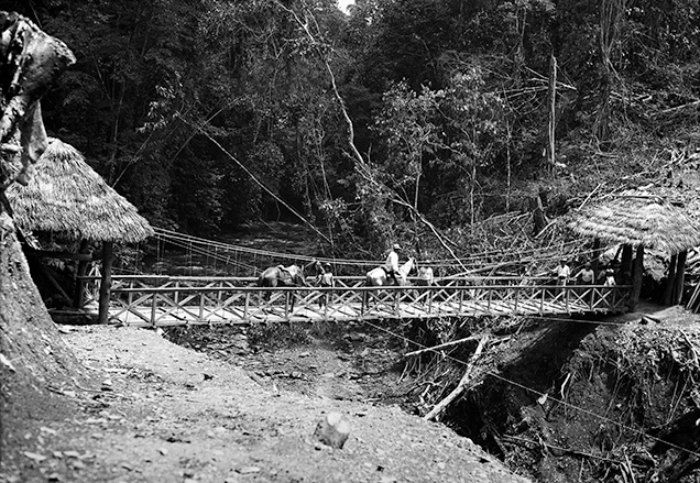 Hanging bridge built by Peter Rainier Hanging bridge built by Peter Rainier