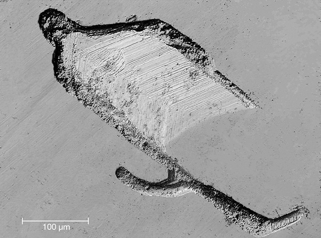 LCM reveals traces of catalyst and step-like growth marks.