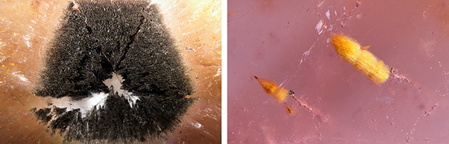 Metallic dendritic (left) and fibrous inclusions (right) in the trapiche-like amethysts. Metallic dendritic (left) and fibrous inclusions (right) in the trapiche-like amethysts.