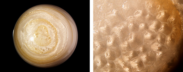 Surface structures of shell cabochons. Surface structures of shell cabochons.