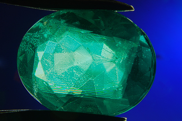 Face-up view of assemblage under cross-polarized light. Face-up view of assemblage under cross-polarized light.