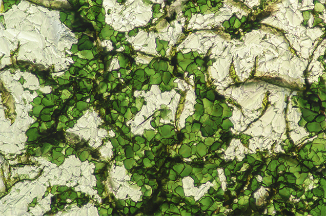 Interlocking platy crystals of chromium oxide. Interlocking platy crystals of chromium oxide.