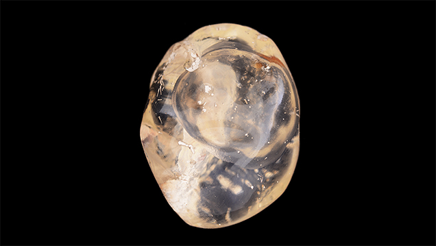 Polished freeform opal with a three-phase fluid inclusion. Polished freeform opal with a three-phase fluid inclusion.