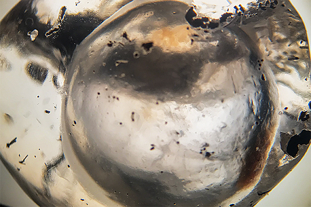 Eye-visible three-phase fluid inclusion in a Mexican opal. Eye-visible three-phase fluid inclusion in a Mexican opal.
