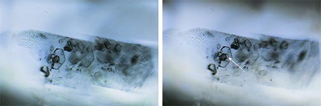 Negative crystals within this euhedral sapphire inclusion (left) displayed a CO2 bubble (right) after exposure to low temperatures.