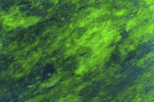 Play-of-color is the defining characteristic of gem opals. While play-of-color can be quite spectacular under magnification, as with the roiled green patterns seen in this crystal opal, other microscopic features are often found if one takes the time to look. Field of view 9.60 mm. Photomicrograph by Nathan Renfro Play-of-color is the defining characteristic of gem opals. While play-of-color can be quite spectacular under magnification, as with the roiled green patterns seen in this crystal opal, other microscopic features are often found if one takes the time to look. Field of view 9.60 mm. Photomicrograph by Nathan Renfro