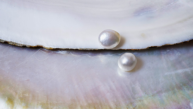 Saltwater and freshwater NBC pearl microradiographic structures