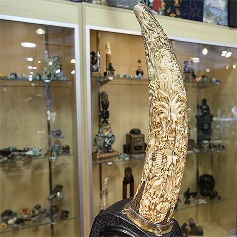 Carved mammoth tusk featuring an ocean theme. Carved mammoth tusk featuring an ocean theme.