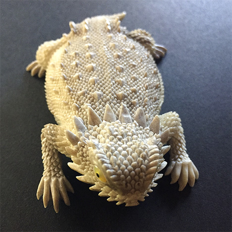Horned toad carved from moose antler. Horned toad carved from moose antler.