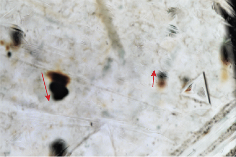Radiation stains on a rough diamond crystal. Radiation stains on a rough diamond crystal.