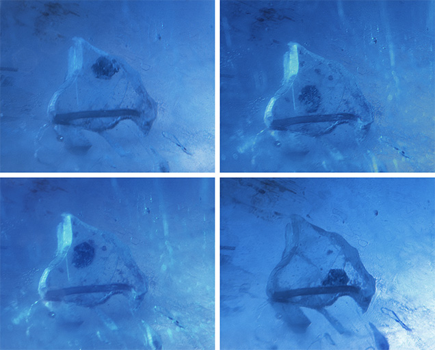 Daughter crystal moves freely within the negative crystal of a star sapphire.