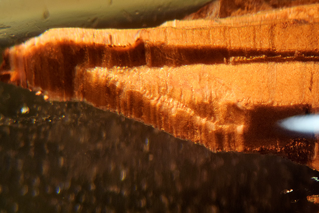This brown negative crystal has an irregular shape.