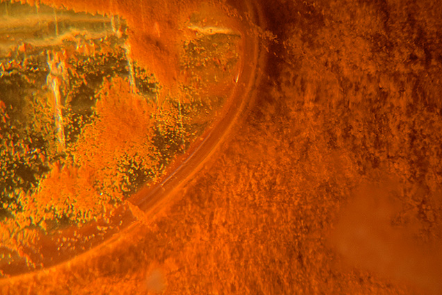 Numerous tiny brown particles within the negative crystal.