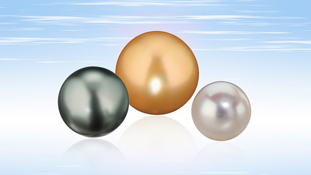 Tahitian, South Sea, and akoya pearls