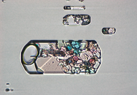 Fluid inclusions with exsolved gas bubbles and daughter crystals in beryl. Fluid inclusions with exsolved gas bubbles and daughter crystals in beryl.