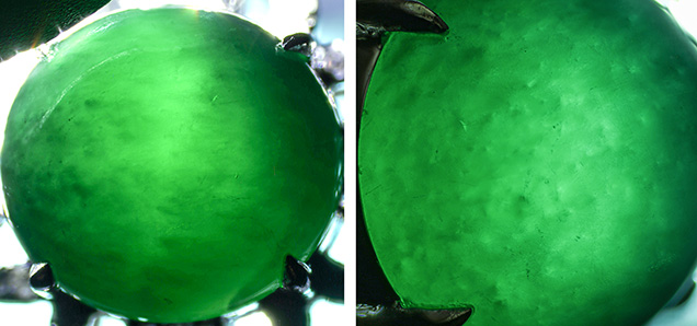 A fibrous texture (left) and vague honeycomb-like pattern (right) were observed under fiber-optic illumination. A fibrous texture (left) and vague honeycomb-like pattern (right) were observed under fiber-optic illumination.