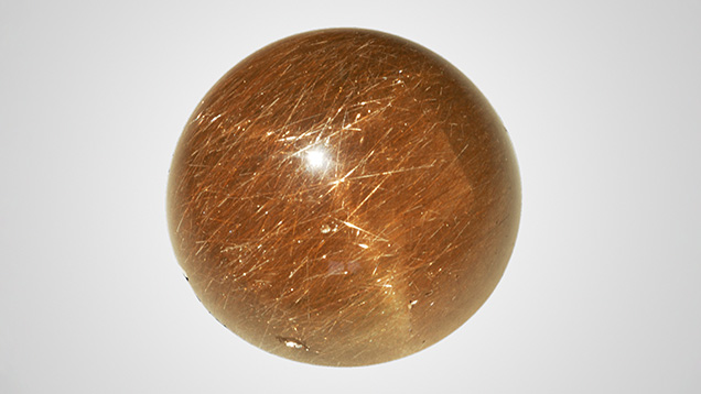 Reflected light with fiber-optic illumination reveals three-rayed star.