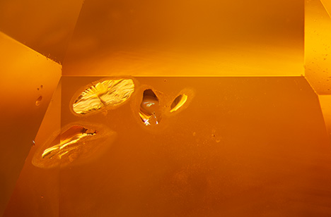 Heat treatment is evident from a cluster of glassy discoids.