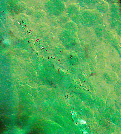 Gota de aceite structures are observed in one of the samples. Gota de aceite structures are observed in one of the samples.