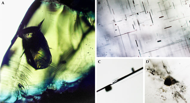 Microscopic observations of ekanite inclusions. Microscopic observations of ekanite inclusions.
