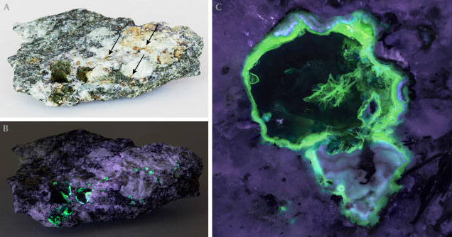 Dark bottle-green ekanite nodules in calc-silicate rock surrounded by yellow-to-ochre alteration products with views under long-wave UV and LED illumination. Dark bottle-green ekanite nodules in calc-silicate rock surrounded by yellow-to-ochre alteration products with views under long-wave UV and LED illumination.