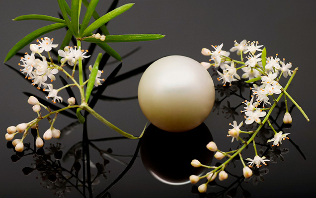 Figure 1. The large round bead cultured pearl weighing 54.96 ct and measuring 19.90 × 19.53 mm. Photo by Gaurav Bera. Figure 1. The large round bead cultured pearl weighing 54.96 ct and measuring 19.90 × 19.53 mm. Photo by Gaurav Bera.