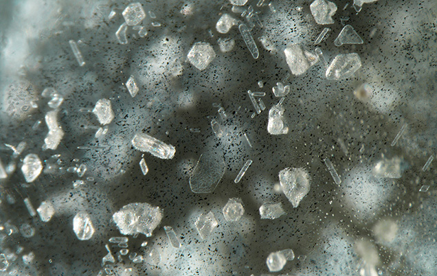 Figure 2. Negative crystals, film-like inclusions, and ilmenite were observed under magnification in the star aquamarine. Photomicrograph by Jessa Rizzo; field of view 3.57 mm. Figure 2. Negative crystals, film-like inclusions, and ilmenite were observed under magnification in the star aquamarine. Photomicrograph by Jessa Rizzo; field of view 3.57 mm.