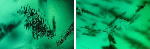 Figure 2. Left: The skeletal formation that usually indicates very rapid growth of the mineral. Right: Skeletal formations showing a cross-hatch pattern. Photomicrographs by Shiva Sohrabi; fields of view 1.26 mm (left) and 2.95 mm (right). Figure 2. Left: The skeletal formation that usually indicates very rapid growth of the mineral. Right: Skeletal formations showing a cross-hatch pattern. Photomicrographs by Shiva Sohrabi; fields of view 1.26 mm (left) and 2.95 mm (right).