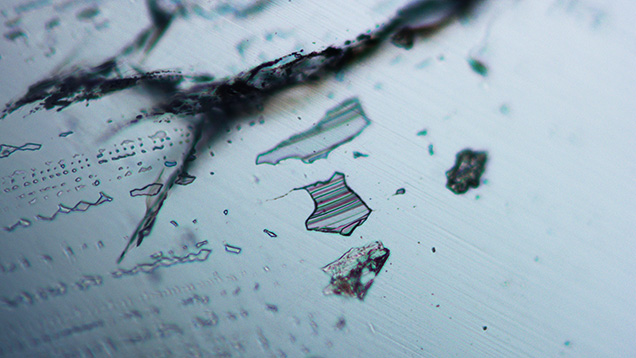 Figure 2. Thin-film liquid inclusions and visible internal tubes parallel to the c-axis with spectral interference colors were observed in the aquamarine samples. Photomicrograph by Yubing Chen; field of view 0.70 mm. Figure 2. Thin-film liquid inclusions and visible internal tubes parallel to the c-axis with spectral interference colors were observed in the aquamarine samples. Photomicrograph by Yubing Chen; field of view 0.70 mm.