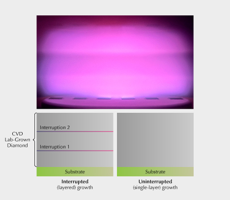 Figure 4. Top: CVD-grown diamond manufacturers grow diamond crystals using seeds (or substrates), a predetermined gas mixture, and plasma of extremely high temperature. Photo courtesy of Clarity Diamond. Bottom: Both interrupted and uninterrupted growth are applied in the industry, and each has advantages and unique challenges. Clarity Diamond uses the uninterrupted method, resulting in CVD-grown diamonds without growth lines, as displayed in this illustration.