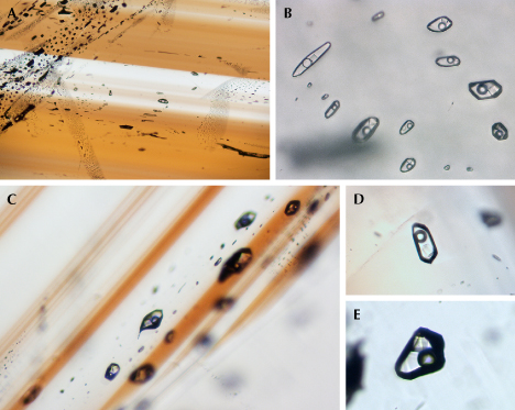 Figure 16. Fluid inclusions in cassiterite samples from Yunling. A and B: Fluid inclusions in healed fractures within samples C-G7 and C-G5, respectively. C: In sample C-G22, fluid inclusions occur parallel to the color bands. D and E: Representative three-phase inclusions in sample C-G24 show a cubic daughter mineral, a bubble, and a fluid phase. Photomicrographs by Wenqing Huang; fields of view 2.54 mm (A), 0.22 mm (B), 0.53 mm (C), 0.20 mm (D), and 0.15 mm (E). Image B was taken under transmitted light and enhanced with focus stacking techniques. Figure 16. Fluid inclusions in cassiterite samples from Yunling. A and B: Fluid inclusions in healed fractures within samples C-G7 and C-G5, respectively. C: In sample C-G22, fluid inclusions occur parallel to the color bands. D and E: Representative three-phase inclusions in sample C-G24 show a cubic daughter mineral, a bubble, and a fluid phase. Photomicrographs by Wenqing Huang; fields of view 2.54 mm (A), 0.22 mm (B), 0.53 mm (C), 0.20 mm (D), and 0.15 mm (E). Image B was taken under transmitted light and enhanced with focus stacking techniques.