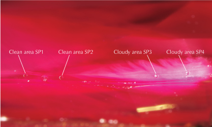 Figure 2. LA-ICP-MS analysis spots located in clean and cloudy regions within the ruby. Photomicrograph by Makoto Miura; field of view 3.99 mm. Figure 2. LA-ICP-MS analysis spots located in clean and cloudy regions within the ruby. Photomicrograph by Makoto Miura; field of view 3.99 mm.