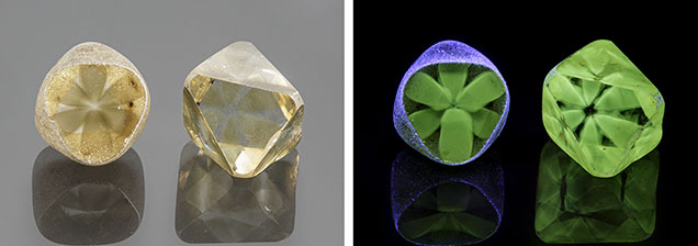 Figure 1. Left: An 8.14 ct and an 8.57 ct diamond containing brown asteriated cloud inclusions with sixfold symmetry. Right: The clouds fluoresced green when exposed to long-wave UV. The purple reflections of the UV source are likely caused by surface imperfections on the rough surface. Photos by Annie Haynes. Figure 1. Left: An 8.14 ct and an 8.57 ct diamond containing brown asteriated cloud inclusions with sixfold symmetry. Right: The clouds fluoresced green when exposed to long-wave UV. The purple reflections of the UV source are likely caused by surface imperfections on the rough surface. Photos by Annie Haynes.
