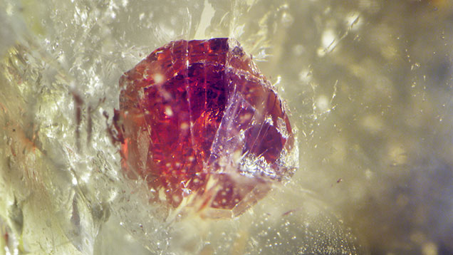 Figure 2. The 3.3 mm dark reddish orange isometric crystal in this smoky quartz was identified through Raman analysis as spessartine. Photomicrograph by Nathan Renfro; field of view 7.20 mm. Figure 2. The 3.3 mm dark reddish orange isometric crystal in this smoky quartz was identified through Raman analysis as spessartine. Photomicrograph by Nathan Renfro; field of view 7.20 mm.
