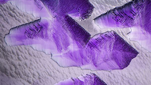 Summer 2024 Micro-World Banner Summer 2024 Micro-World Banner