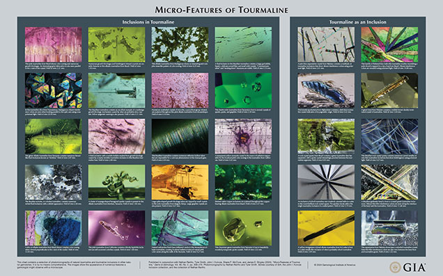 This chart contains a selection of photomicrographs of natural tourmaline and tourmaline inclusions in other natural gemstones. It is by no means comprehensive. The images show the appearance of numerous features a gemologist might observe with a microscope. Published in conjunction with Nathan Renfro, Tyler Smith, John I. Koivula, Shane F. McClure, and James E. Shigley (2024), “Micro-Features of Tourmaline,” Gems & Gemology, Vol. 60, No. 2, pp. 208–210. Photomicrographs by Nathan Renfro and Tyler Smith. Stones courtesy of GIA, the John I. Koivula inclusion collection, and the collection of Nathan Renfro. This chart contains a selection of photomicrographs of natural tourmaline and tourmaline inclusions in other natural gemstones. It is by no means comprehensive. The images show the appearance of numerous features a gemologist might observe with a microscope. Published in conjunction with Nathan Renfro, Tyler Smith, John I. Koivula, Shane F. McClure, and James E. Shigley (2024), “Micro-Features of Tourmaline,” Gems & Gemology, Vol. 60, No. 2, pp. 208–210. Photomicrographs by Nathan Renfro and Tyler Smith. Stones courtesy of GIA, the John I. Koivula inclusion collection, and the collection of Nathan Renfro.