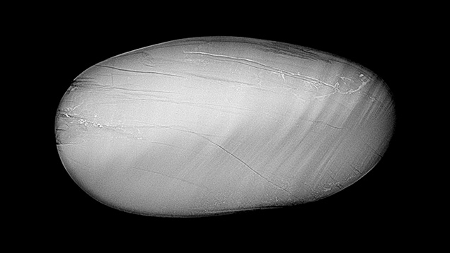 Figure 4. The 0.72 ct cabochon showed an internal banded structure alternating between light gray stripes of aragonite and dark gray stripes of protein-rich material in the RTX image. Image by Amiroh Steen. Figure 4. The 0.72 ct cabochon showed an internal banded structure alternating between light gray stripes of aragonite and dark gray stripes of protein-rich material in the RTX image. Image by Amiroh Steen.