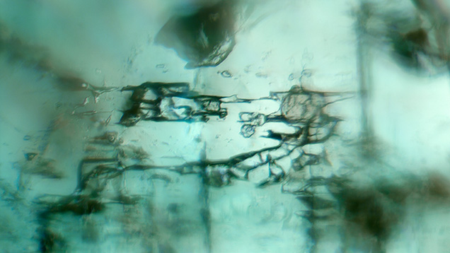 Figure 2. Fluid and two-phase jagged inclusions in a Kazakhstani emerald. Photomicrograph by Rhiana Elizabeth Henry; field of view 1.44 mm.