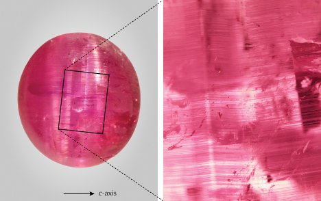 Left: An 11.23 ct purplish pink pezzottaite cabochon, measuring 14.43 × 13.10 × 7.39 mm, displaying multiple cat’s-eyes. The arrow indicates the c-axis (i.e., the optical axis). Photo by Shunsuke Nagai. Right: These cat’s-eyes are produced by growth tubes likely bent by imperfect {001} cleavage planes. Photomicrograph by Taku Okada; field of view 4.80 mm.