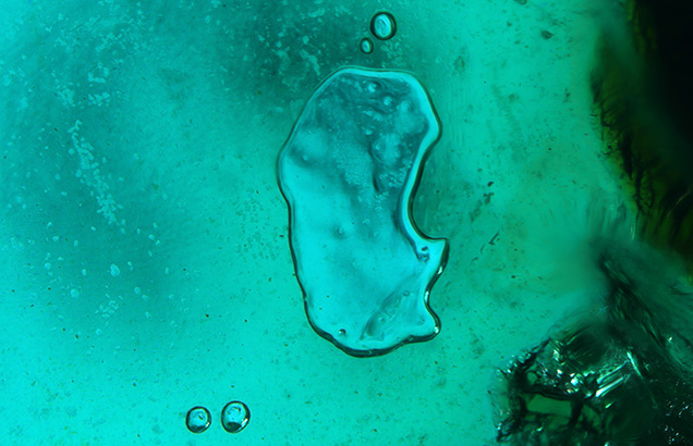 Figure 3. Tabular bubbles in the bluish green cement demarcate the boundary between the quartz segments. Photomicrograph by Hannah Wiggins; field of view 7.19 mm.
