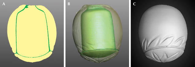 Figure 4. A and B: 3D scanned images indicating the colored cement layer between the carved parts. C: The carving details from the outside. Images by Emiko Yazawa and W. Henry Towbin.