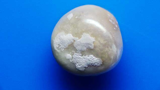 Claylike material on pearls tested by the Gübelin Gem Lab. Claylike material on pearls tested by the Gübelin Gem Lab.