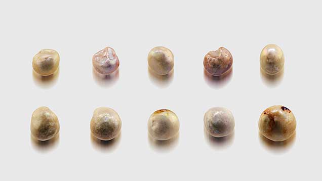 Undrilled natural pearls in various sizes. Undrilled natural pearls in various sizes.