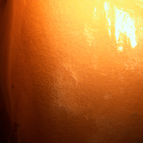 Porcelaneous and flame-like structure in larger fossilized blister pearl. Porcelaneous and flame-like structure in larger fossilized blister pearl.