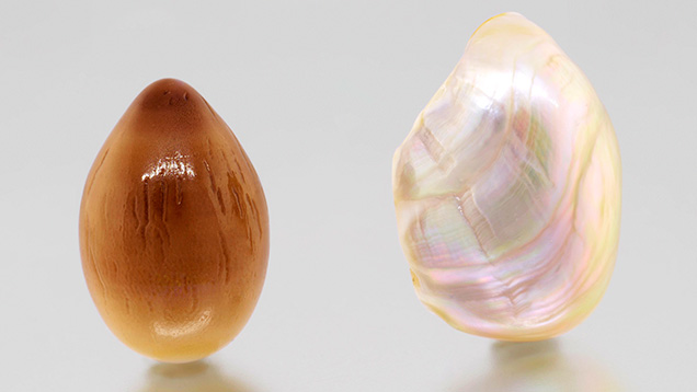 Large natural pearls from Spondylus and Trochoidea species mollusks. Large natural pearls from Spondylus and Trochoidea species mollusks.