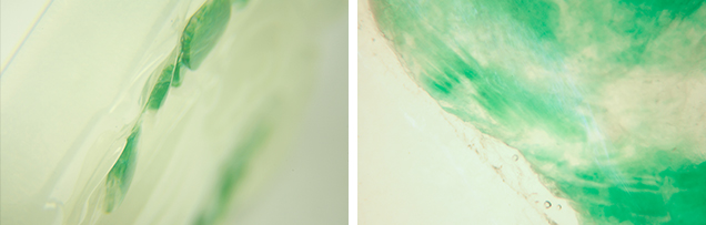 W16-GNI-Figure-18-Comp_210764-636x203.jpg. Jadeite photomicrographs.